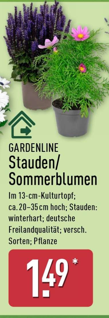 GARDENLINE Stauden/Sommerblumen
