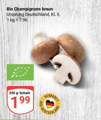 Bio Champignons braun