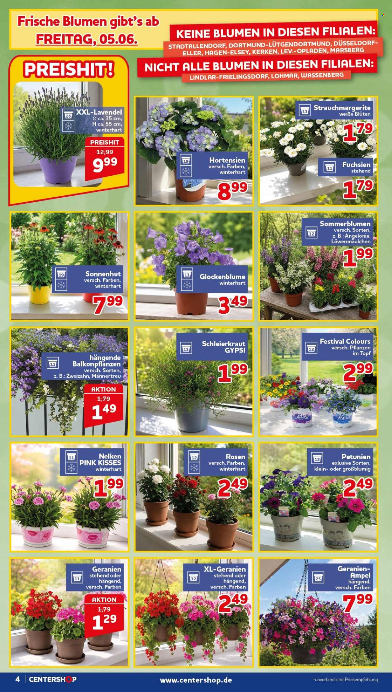 CENTERSHOP Prospekte  - 1.06.2026 - 6.06.2026. Seite 4