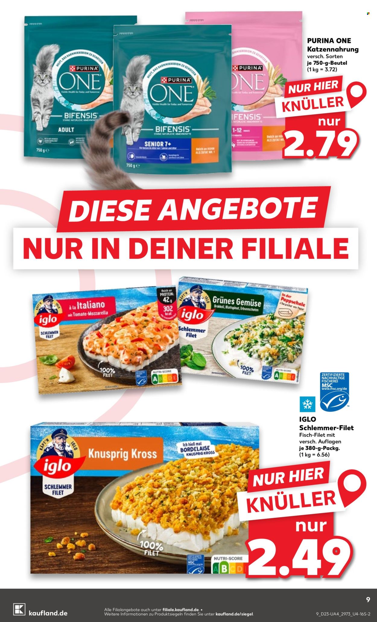 Kaufland Prospekte  - 4.06.2026 - 10.06.2026. Seite 9