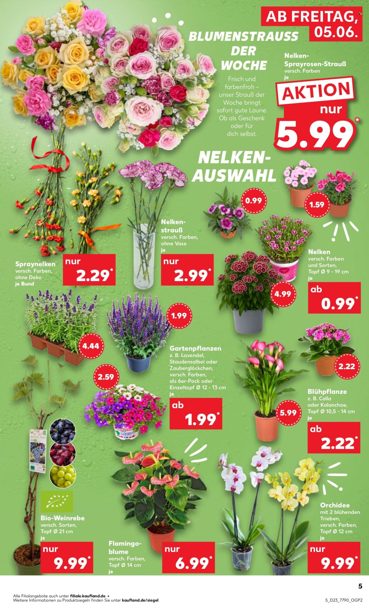 Kaufland Prospekte  - 4.06.2026 - 10.06.2026. Seite 5