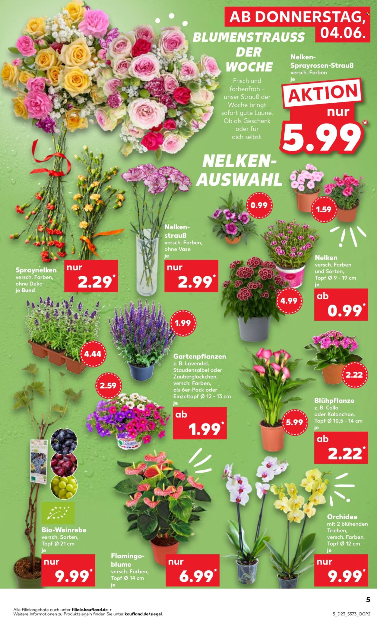 Kaufland Prospekte  - 4.06.2026 - 10.06.2026. Seite 5