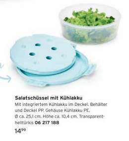 Salatschüssel mit Kühlakku