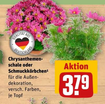 Chrysanthemenschale oder Schmuckkörbchen