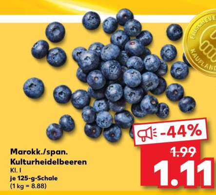 Marokk./span. Kulturheidelbeeren