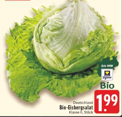Bio-Eisbergsalat