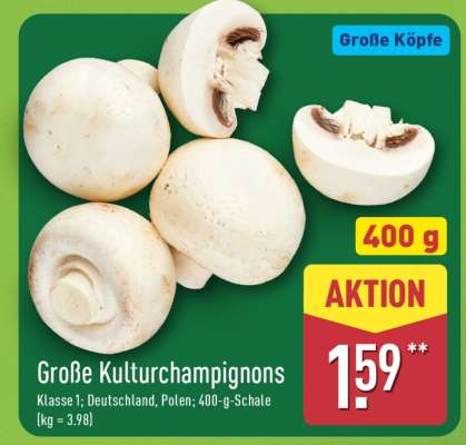 Große Kulturchampignons
