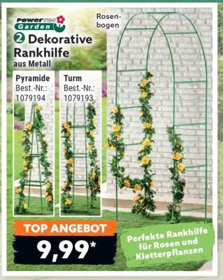 2 Dekorative Rankhilfe