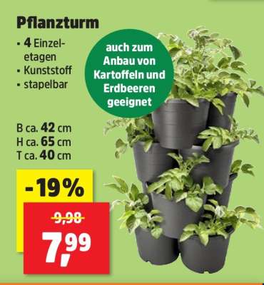 PFLANZTOPF Angebot  Preis ab 1,49