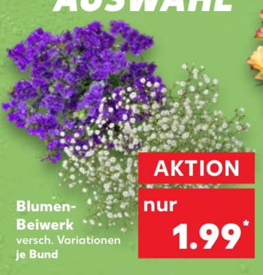 Blumen-Beiwerk