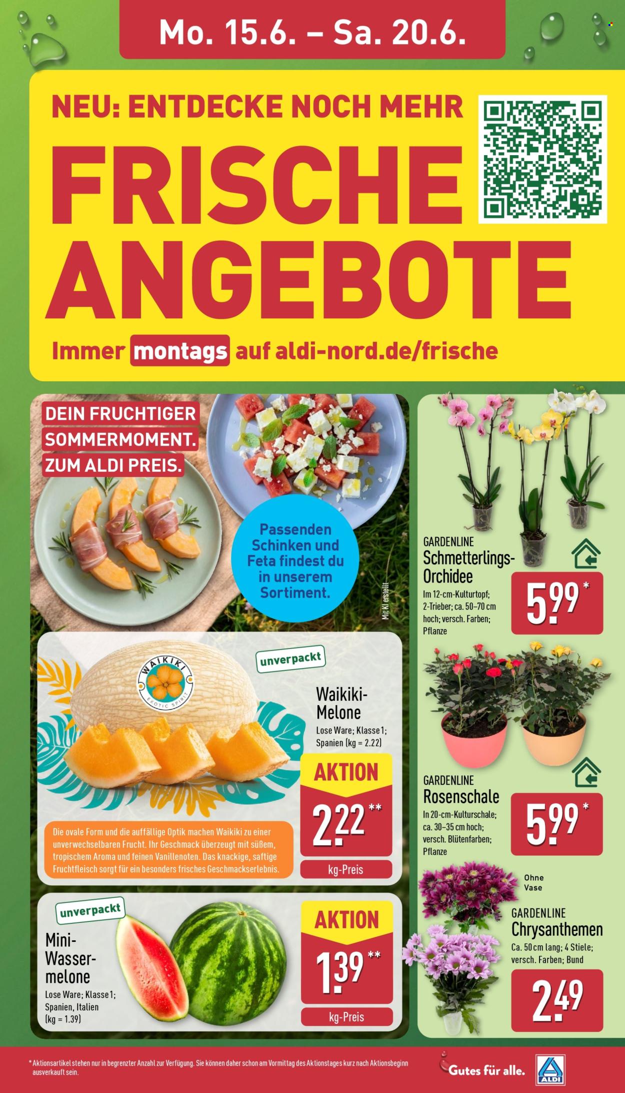 Leták ALDI Nord - 15.6.2026 - 20.6.2026. Strana 7
