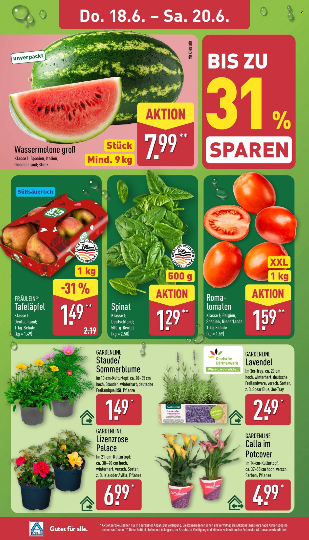 ALDI Nord Prospekte  - 15.06.2026 - 20.06.2026. Seite 30