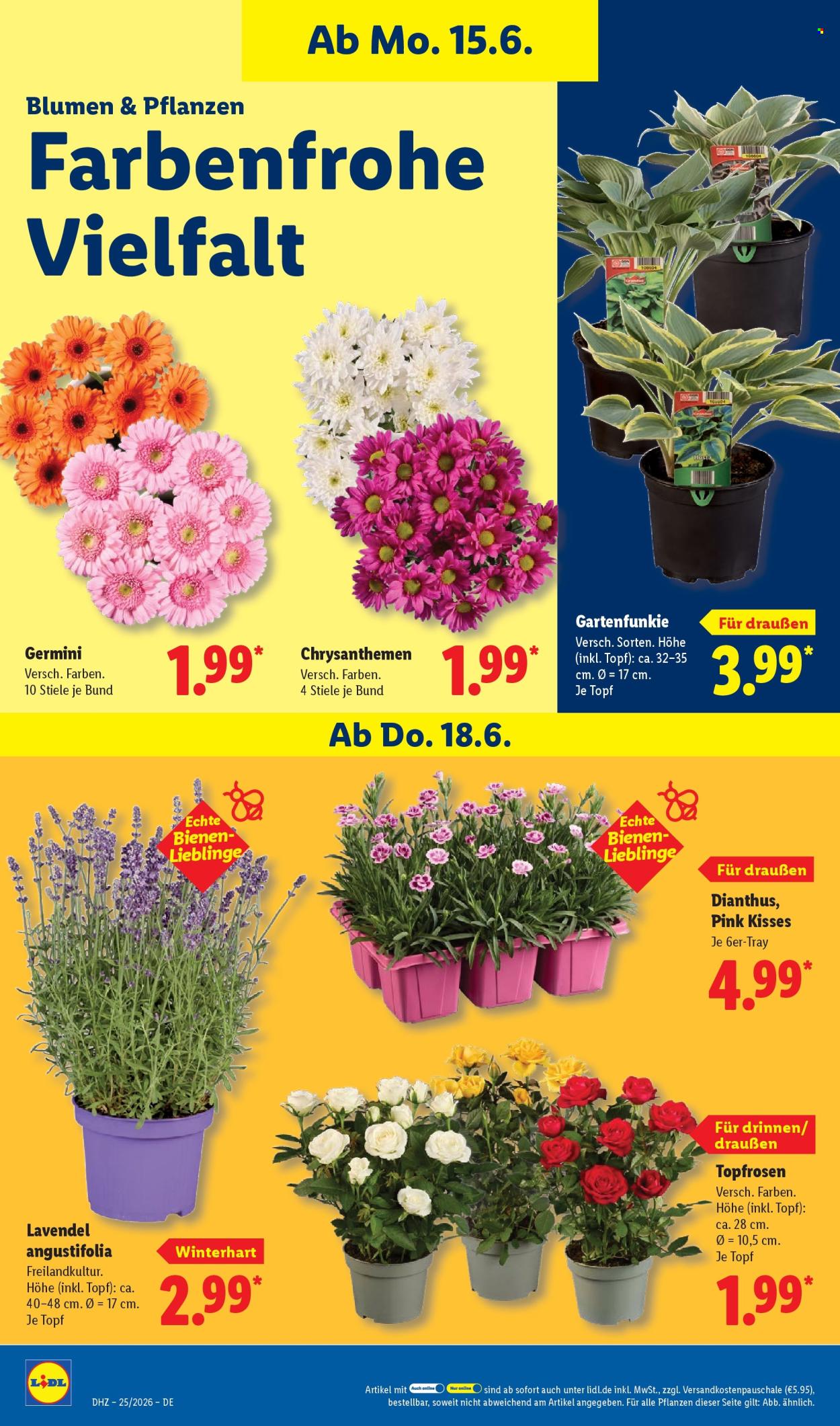 Leták Lidl - 15.6.2026 - 20.6.2026. Strana 70