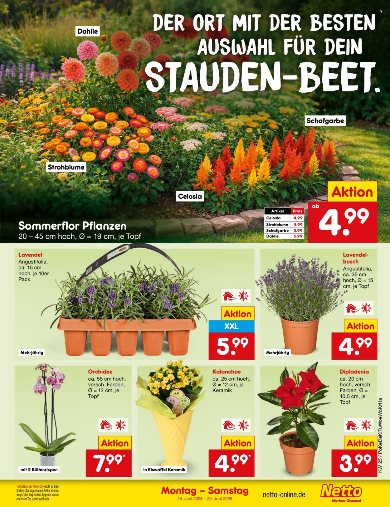 Leták Netto Marken-Discount - 15.6.2026 - 20.6.2026. Strana 19