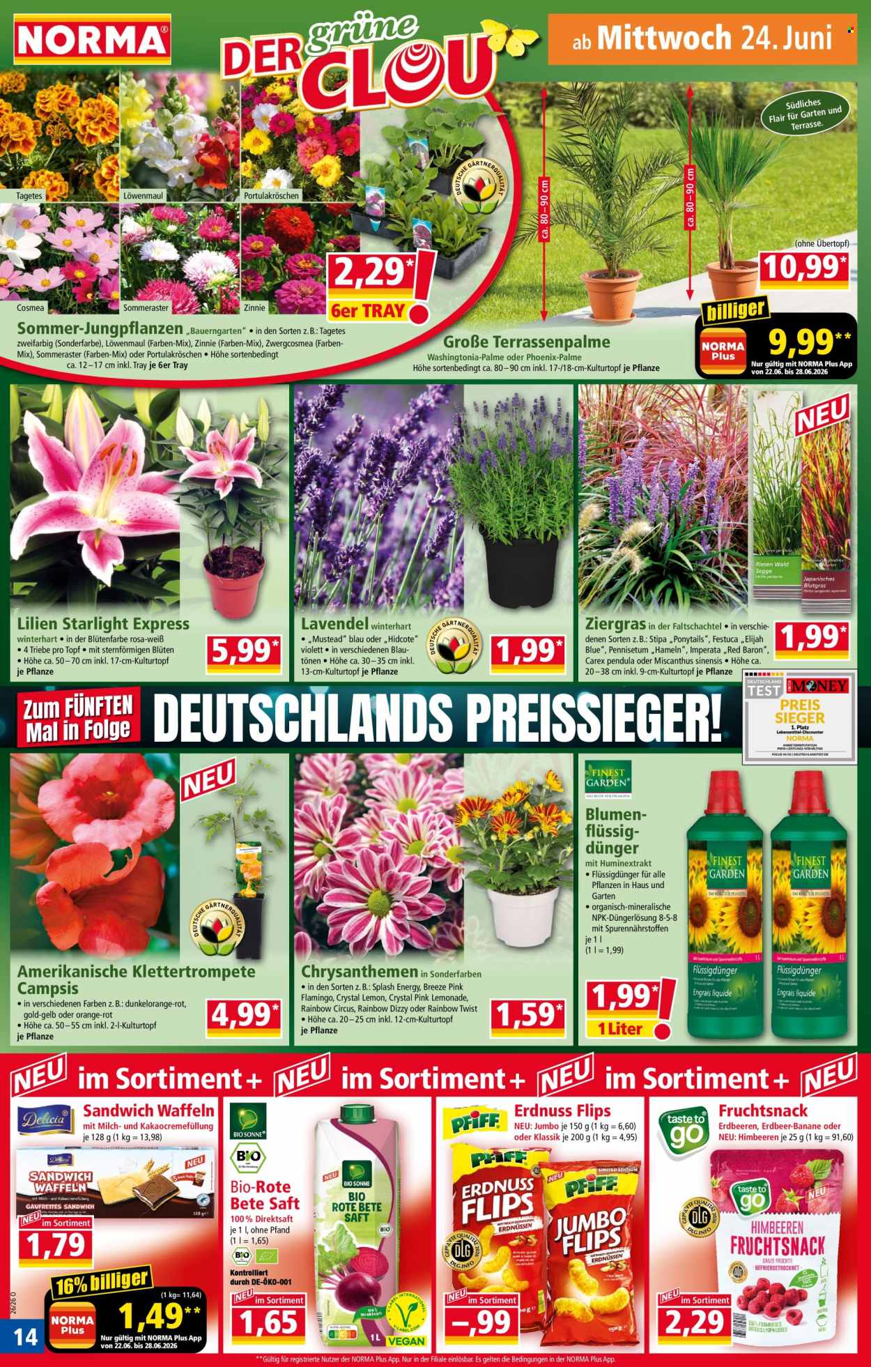 Norma Prospekte  - 22.06.2026 - 28.06.2026. Seite 14