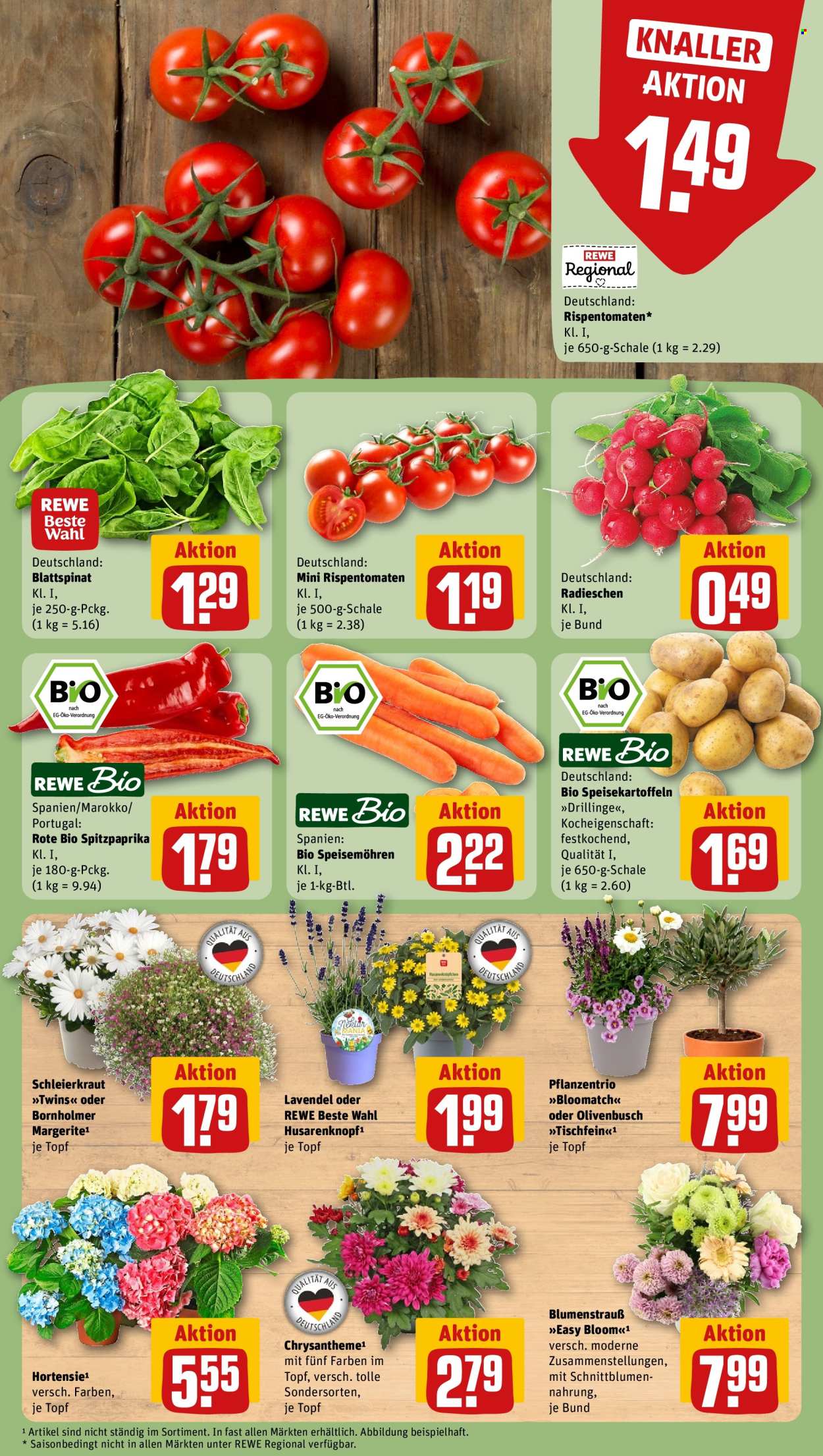 REWE Prospekte  - 15.06.2026 - 21.06.2026. Seite 11