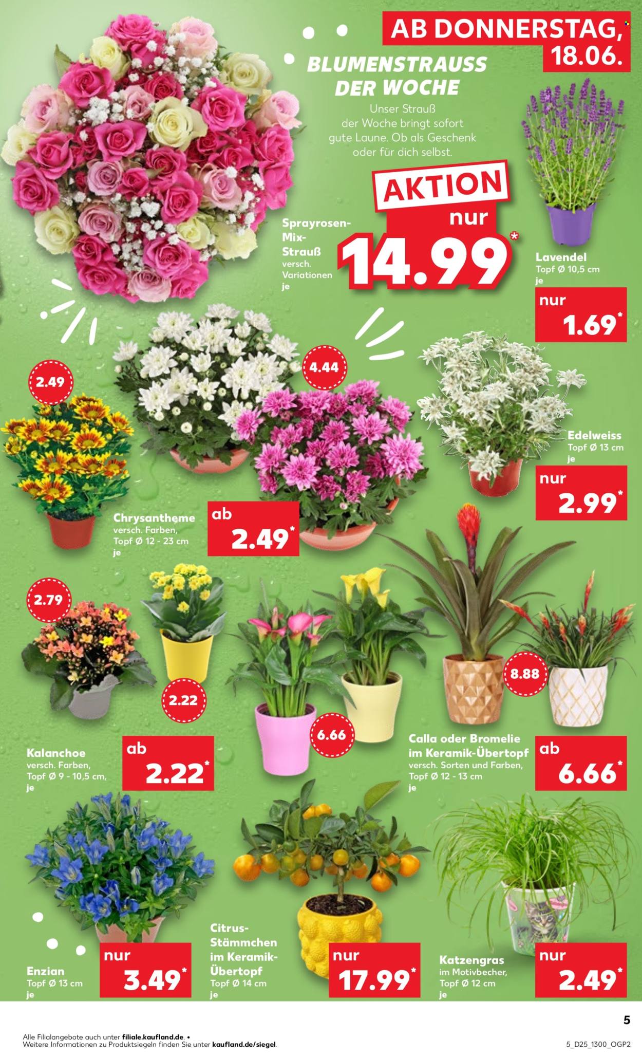 Kaufland Prospekte  - 18.06.2026 - 24.06.2026. Seite 5