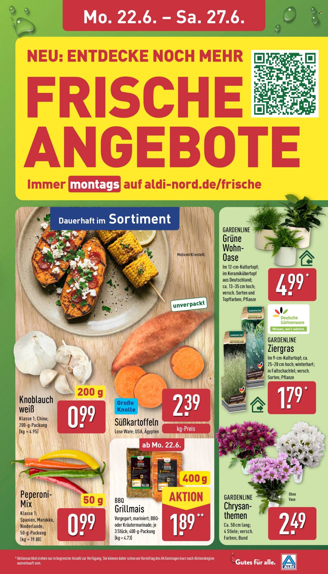 ALDI Nord Prospekte  - 22.06.2026 - 27.06.2026. Seite 3