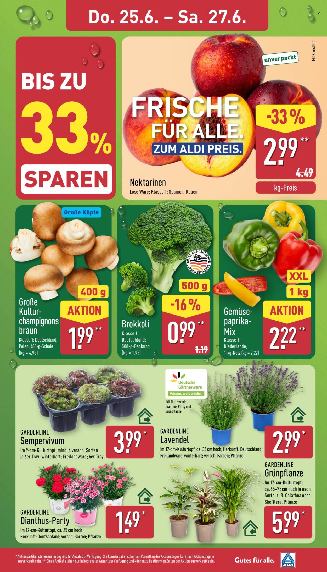 ALDI Nord Prospekte  - 22.06.2026 - 27.06.2026. Seite 29