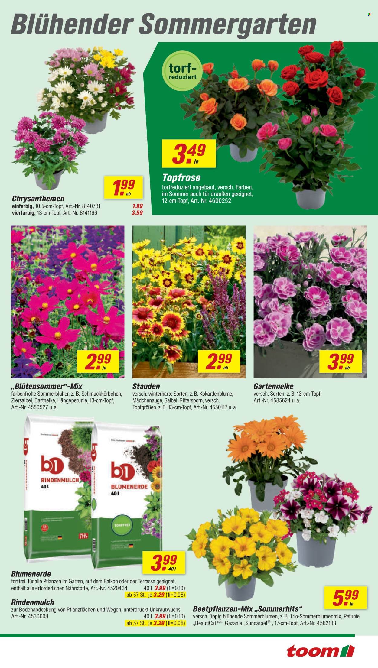 toom Baumarkt Prospekte  - 13.06.2026 - 19.06.2026. Seite 5