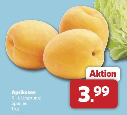 Aprikosen*