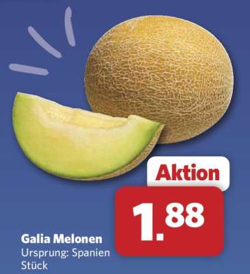 Galia Melonen