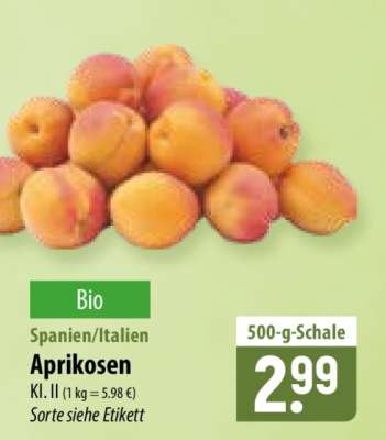 Bio Aprikosen