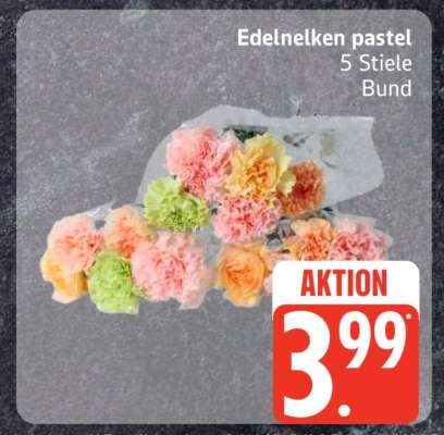 Edelnelken pastel
