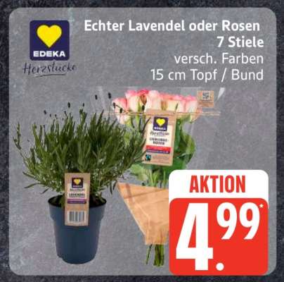 Echter Lavendel oder Rosen