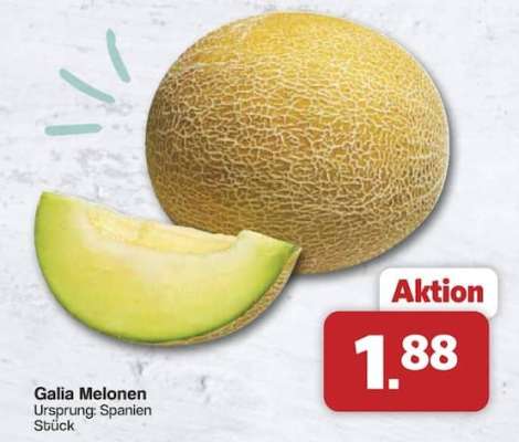 Galia Melonen