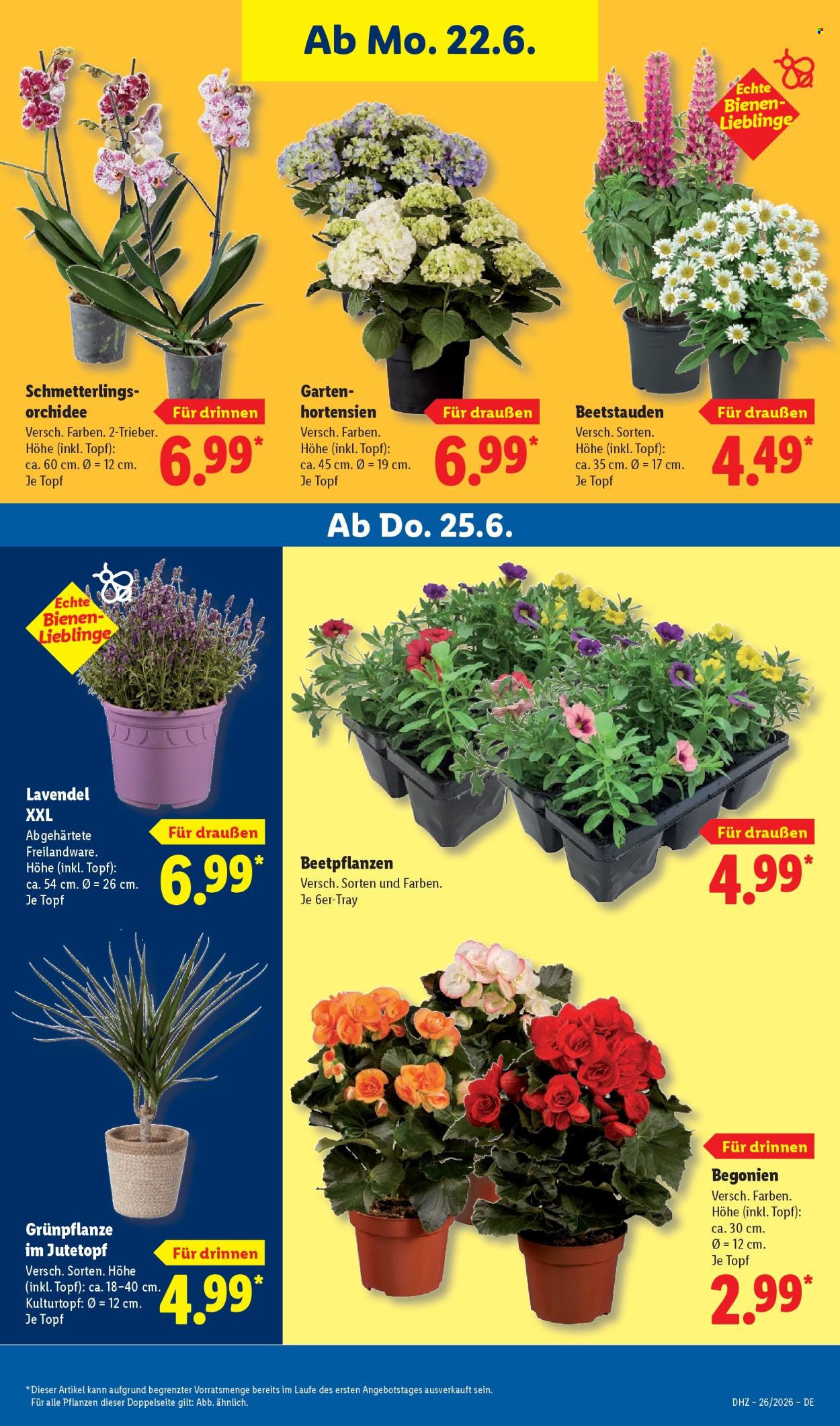 Lidl Prospekte  - 22.06.2026 - 27.06.2026. Seite 69