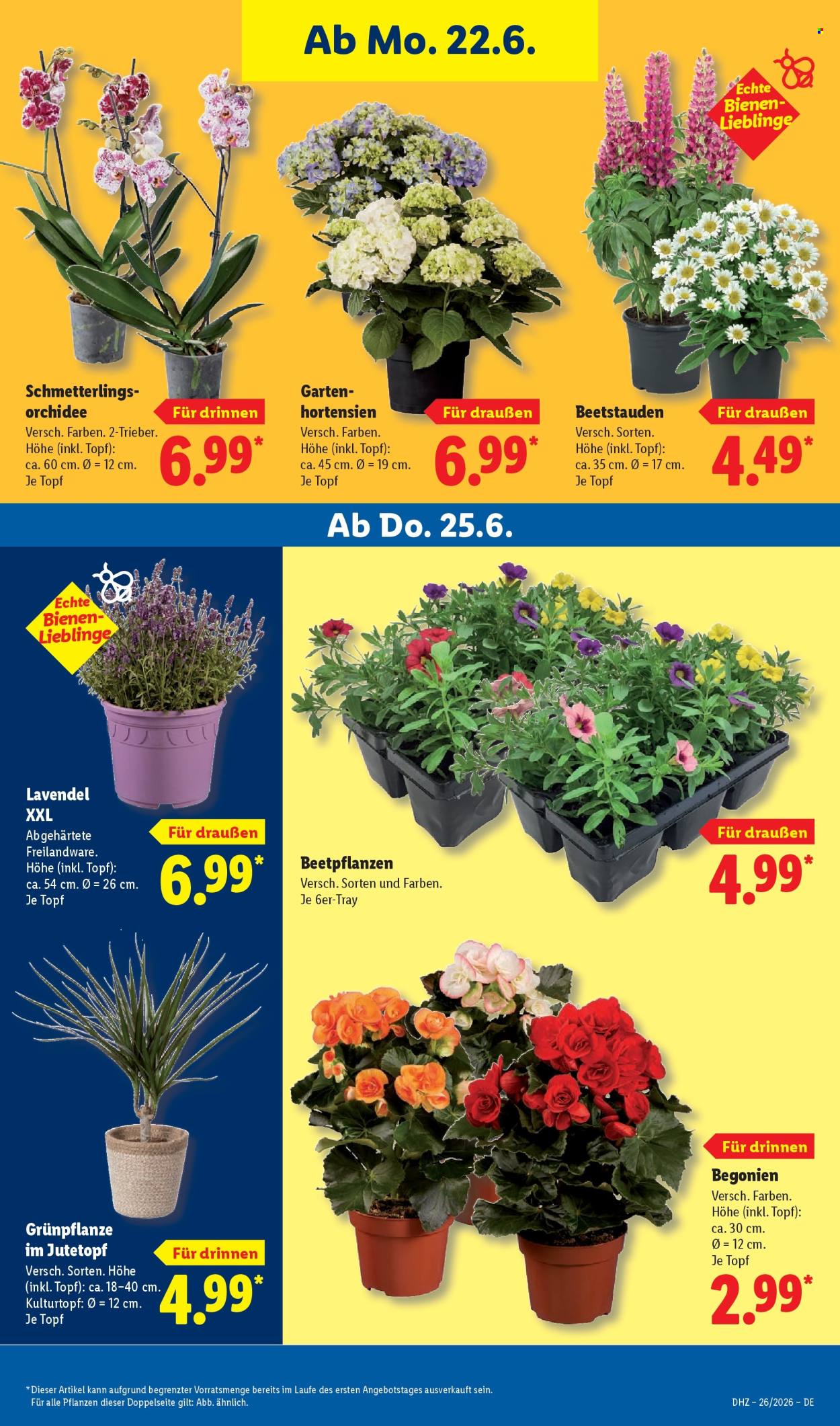Lidl Prospekte  - 22.06.2026 - 27.06.2026. Seite 73
