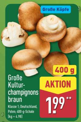 Große Kultur-champignons braun