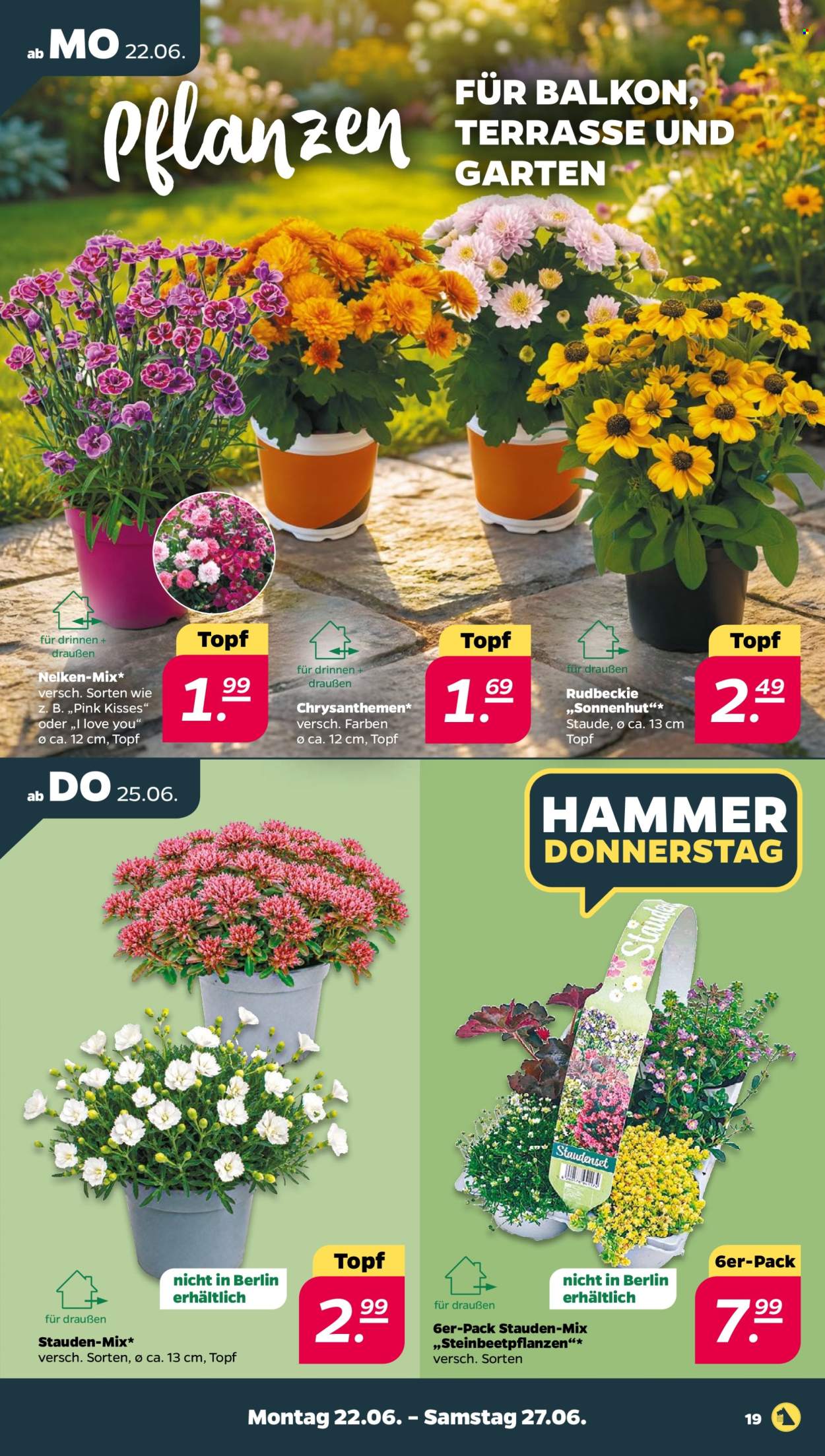 Netto Prospekte  - 22.06.2026 - 27.06.2026. Seite 21