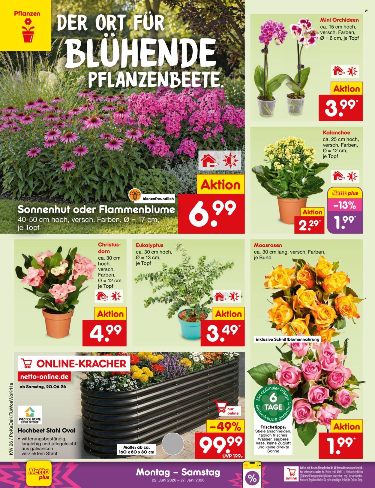 Leták Netto Marken-Discount - 22.6.2026 - 27.6.2026. Strana 36