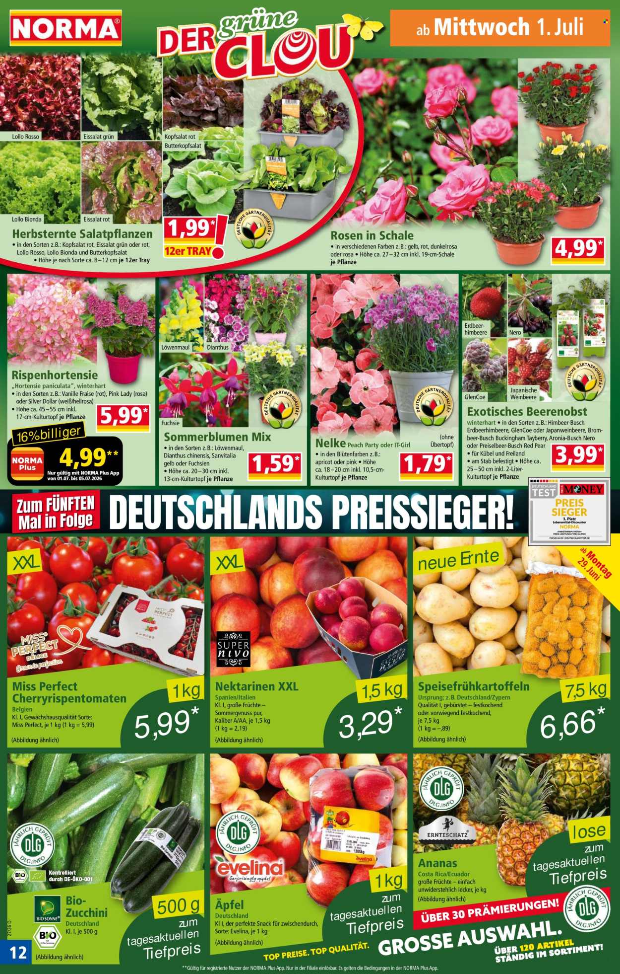 Norma Prospekte  - 29.06.2026 - 5.07.2026. Seite 12