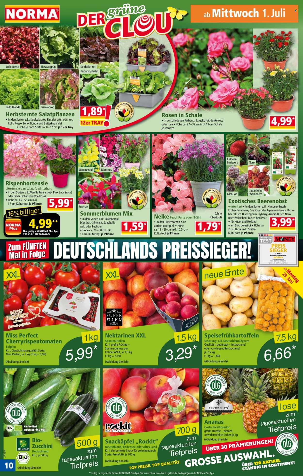 Norma Prospekte  - 29.06.2026 - 5.07.2026. Seite 12