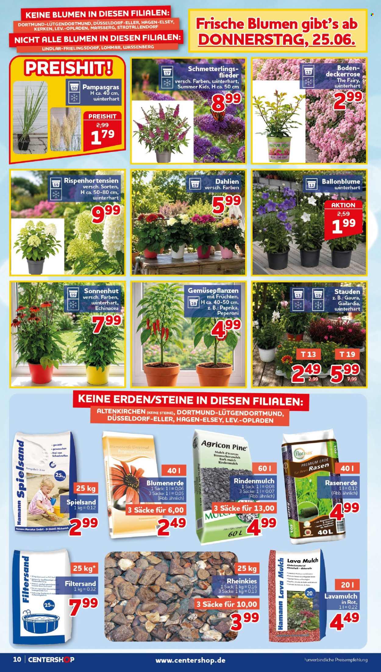 CENTERSHOP Prospekte  - 22.06.2026 - 27.06.2026. Seite 10
