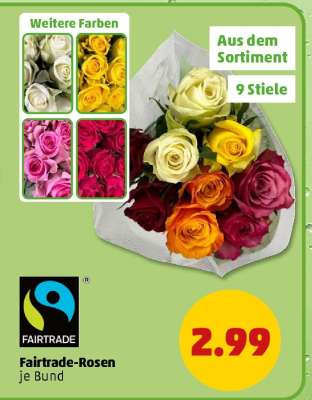 Fairtrade-Rosen