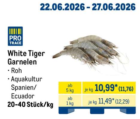 White Tiger Garnelen