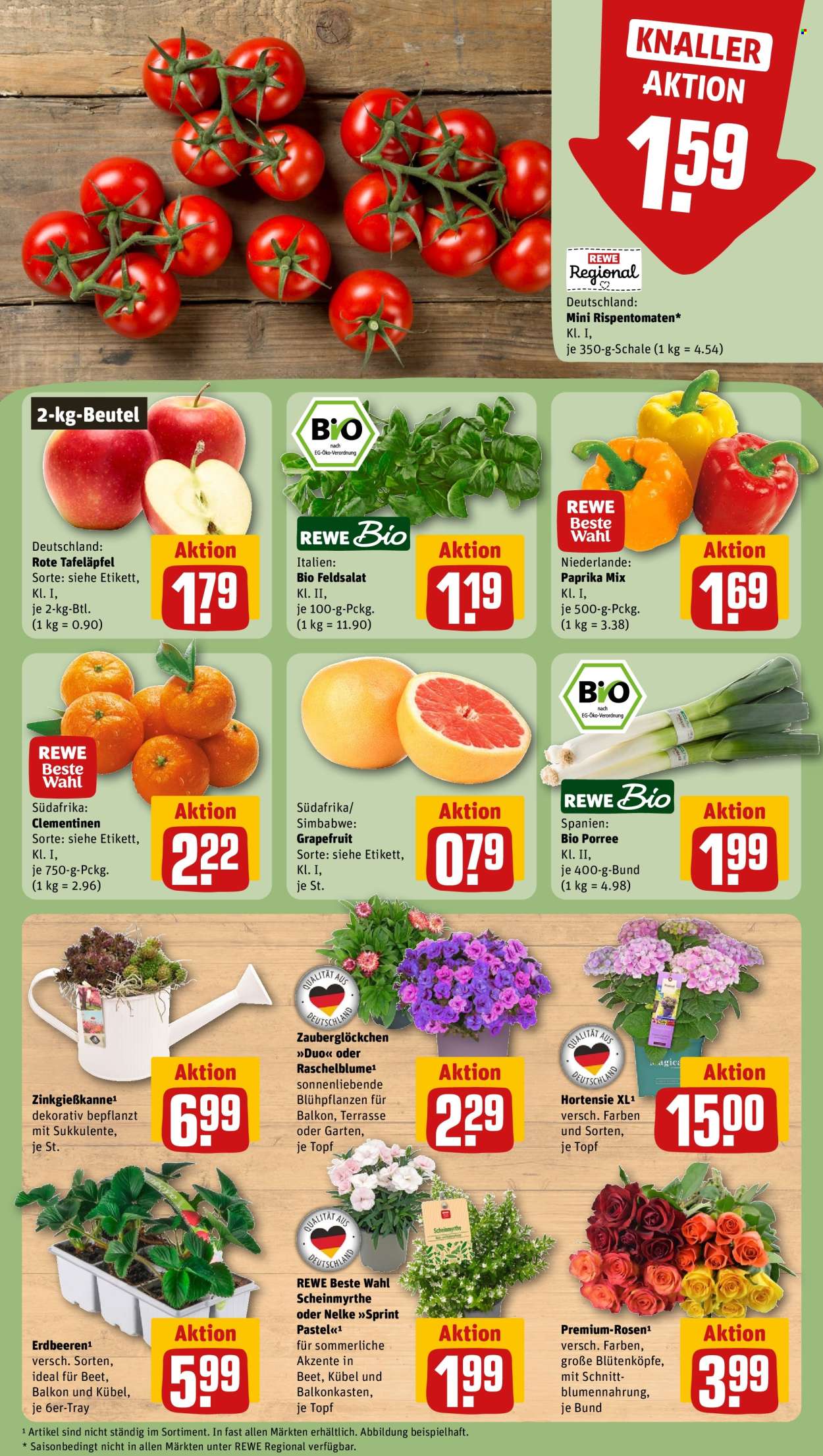 Leták REWE - 22.6.2026 - 28.6.2026. Strana 9