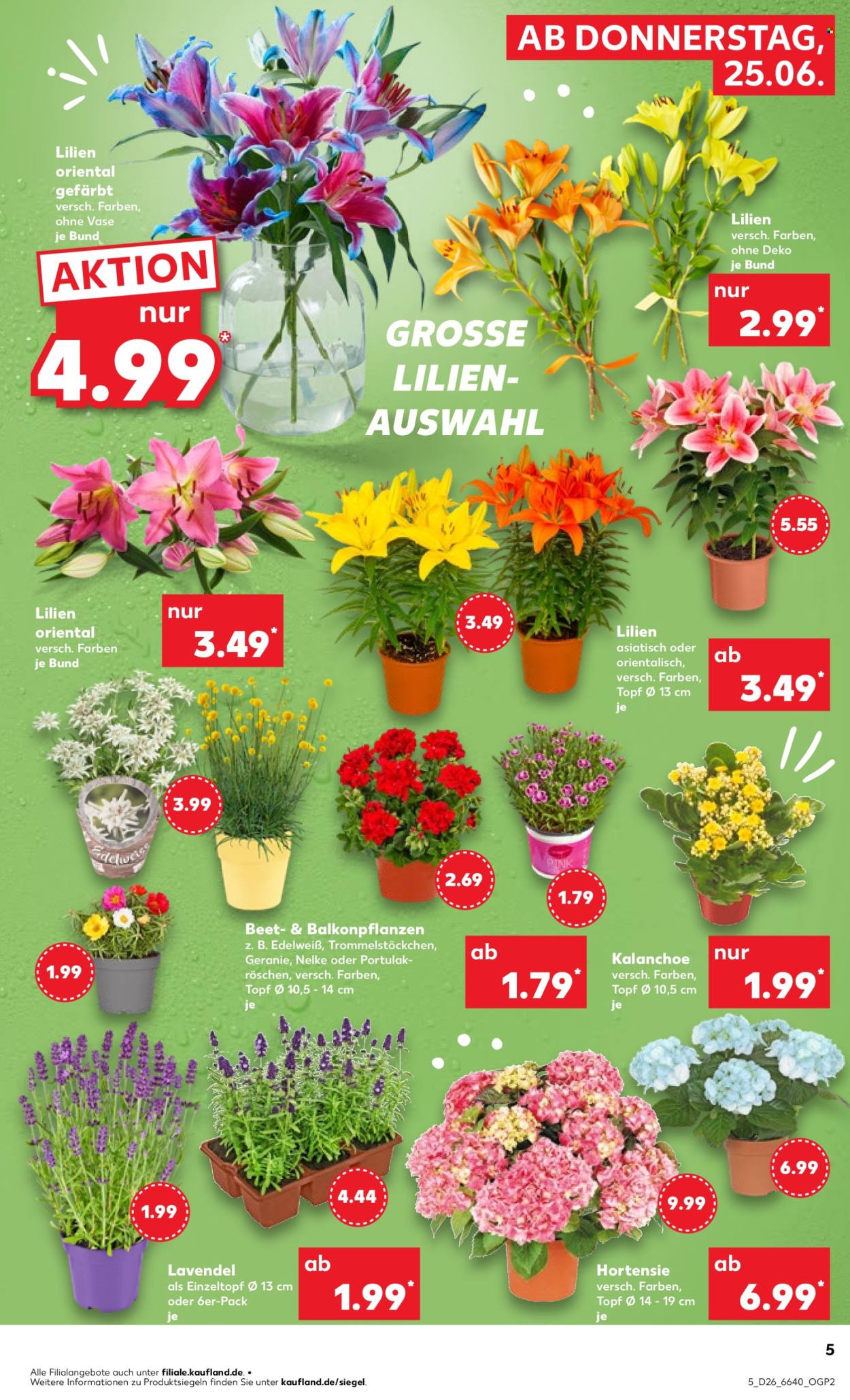 Kaufland Prospekte  - 25.06.2026 - 1.07.2026. Seite 5