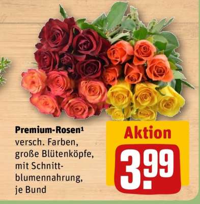 Premium Rosen
