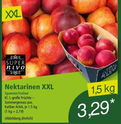 Nektarinen XXL