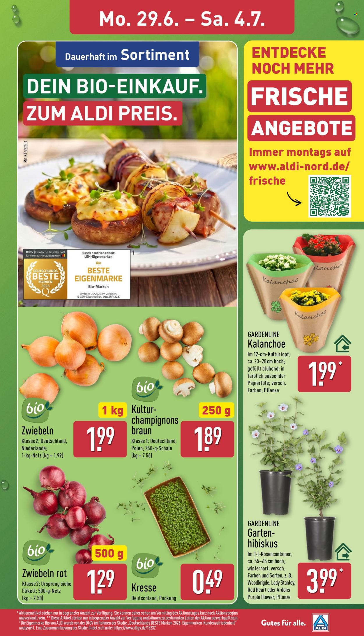 Leták ALDI Nord - 29.6.2026 - 4.7.2026. Strana 3