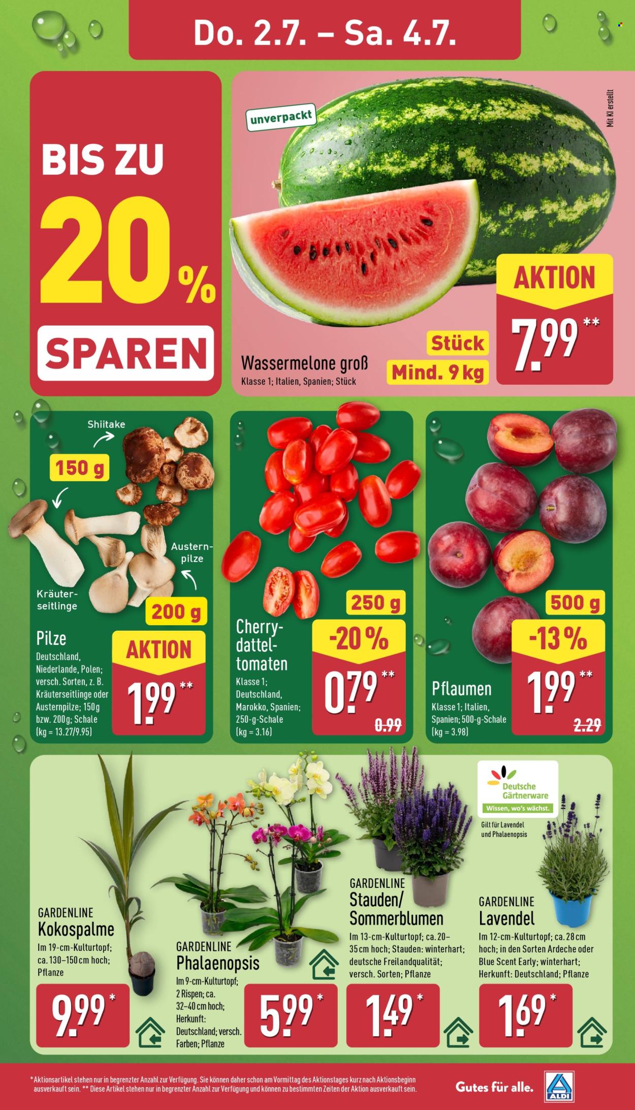 Leták ALDI Nord - 29.6.2026 - 4.7.2026. Strana 31