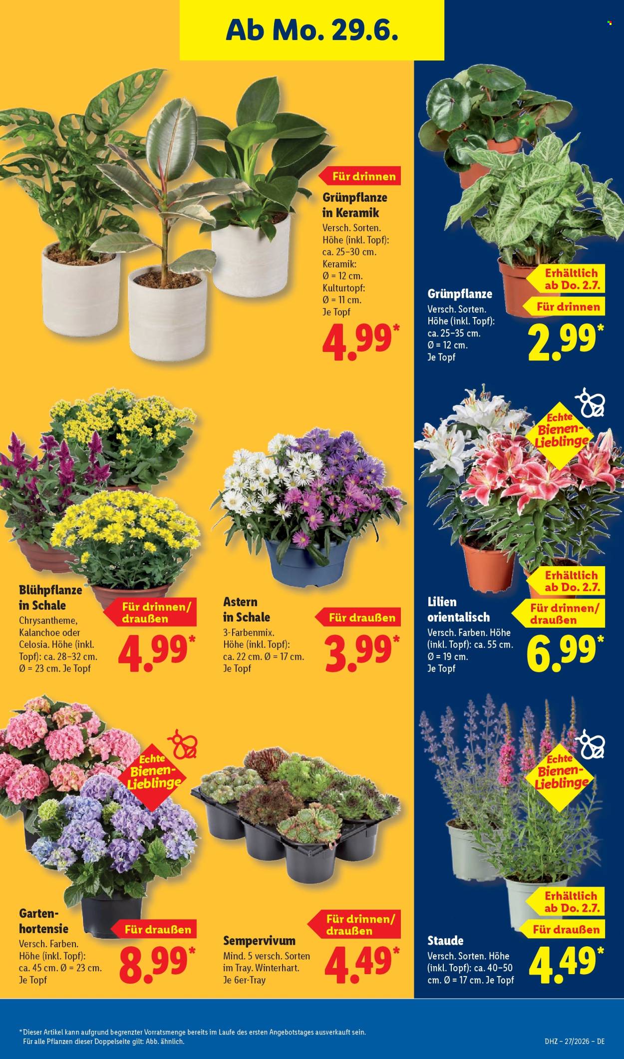 Lidl Prospekte  - 29.06.2026 - 4.07.2026. Seite 35