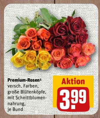Premium Rosen