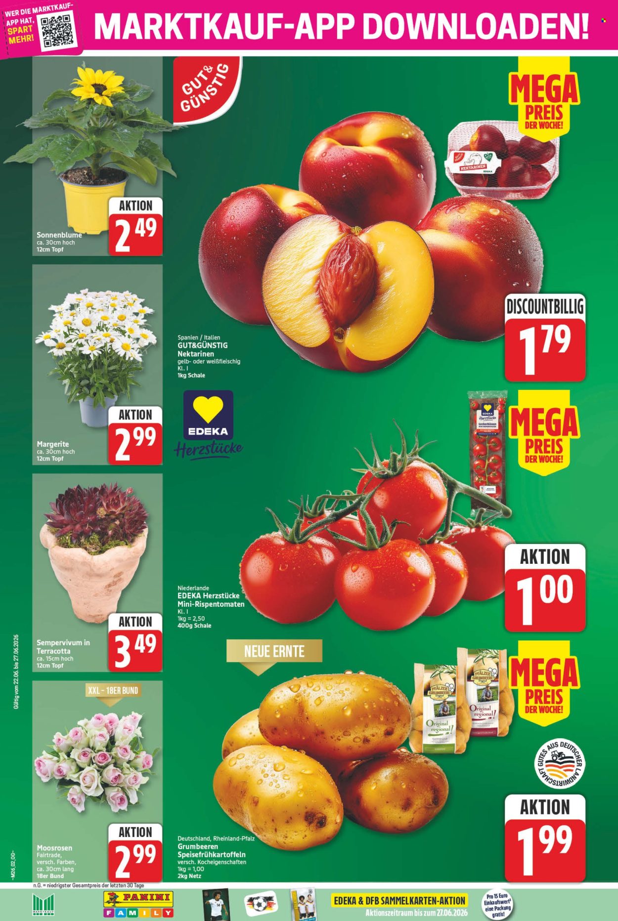 Marktkauf Prospekte  - 22.06.2026 - 27.06.2026. Seite 6
