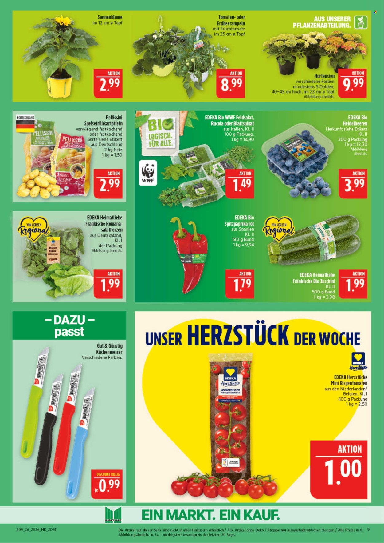 Marktkauf Prospekte  - 22.06.2026 - 27.06.2026. Seite 9